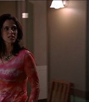 2003-Jami-Gertz-in-Undercover-Christmas--screencaps-1771.jpg
